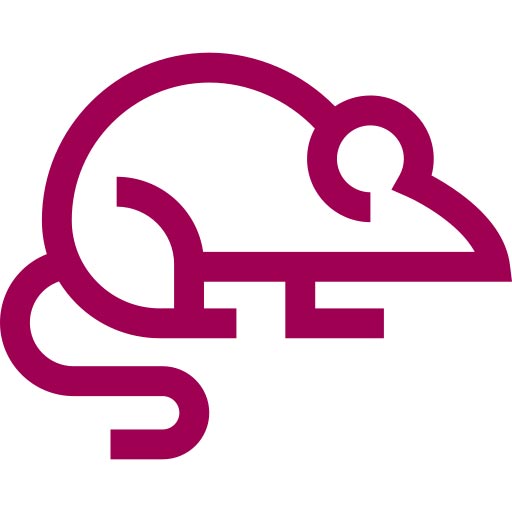rat icon